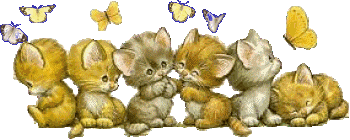 chat qui danse