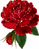 belle couleur