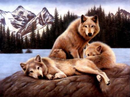 il sons beau