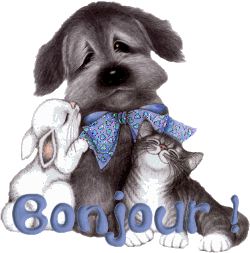 bonjour