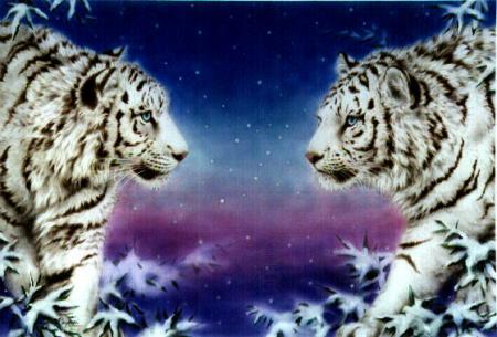 tigre