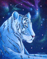 genial se tigre