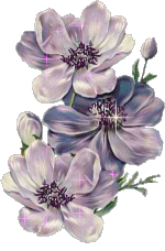j aime les fleure