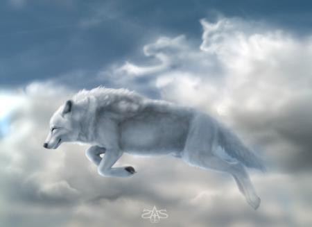 tres jolie saut
