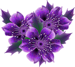 tres jolie fleur
