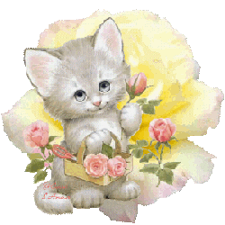 un chat avec une fleure
