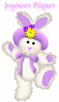 oh le beau lapin