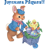 le beau lapin