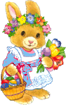 il et beau mon lapin