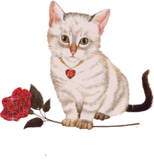 j adore les animaux et vous